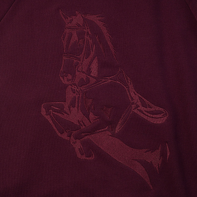Худи с принтом на спине / Equestrian / винное
